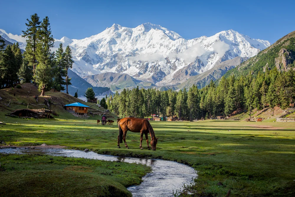  A serene scene of a horse feeding in a vibrant, grassy field surrounded by nature.